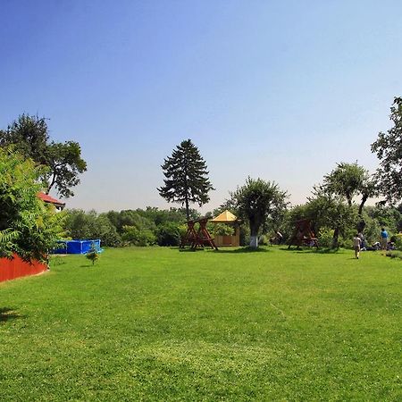 Pensiunea La Bradul Inalt Porumbacu de Sus Dış mekan fotoğraf