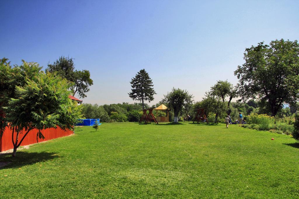 Pensiunea La Bradul Inalt Porumbacu de Sus Dış mekan fotoğraf