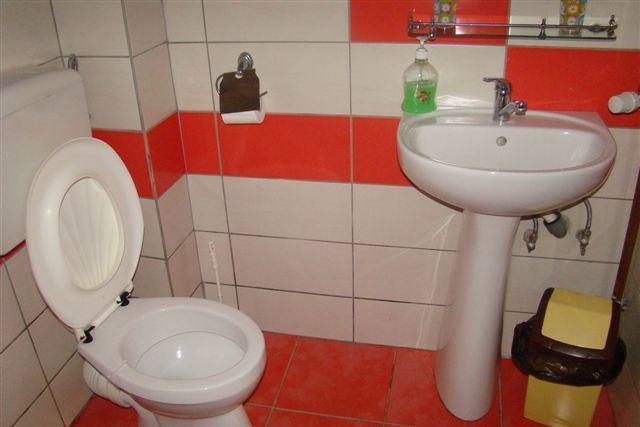 Pensiunea La Bradul Inalt Porumbacu de Sus Oda fotoğraf